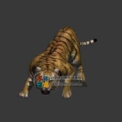 Tiger 帶pose老虎 Max模型