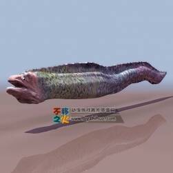 Eel 海鰻3DS模型