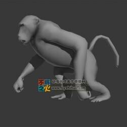 動(dòng)物動(dòng)作之狒狒 Max模型 全套動(dòng)作