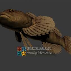 水族之土色的魚 3DS模型