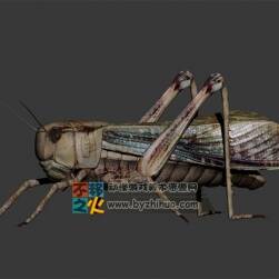 Grasshopper 螞蚱Max模型
