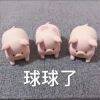 用戶頭像