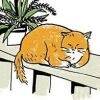 用戶頭像