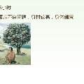 用戶頭像