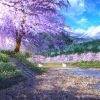 用戶頭像