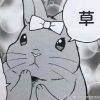 用戶頭像
