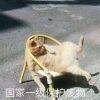 用戶頭像