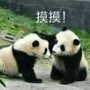 用戶頭像