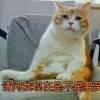用戶頭像
