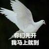 用戶頭像