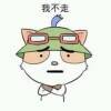 用戶頭像