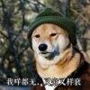 用戶頭像