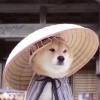 用戶頭像