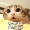 用戶頭像