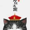 用戶頭像