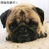 用戶頭像