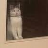用戶頭像