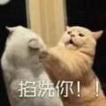 用戶頭像