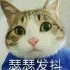 用戶頭像