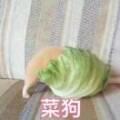 用戶頭像