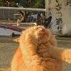 用戶頭像
