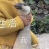 用戶頭像