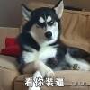 用戶頭像
