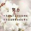 用戶頭像