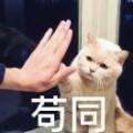 用戶頭像