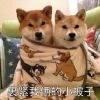 用戶頭像