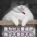 用戶頭像