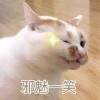 用戶頭像