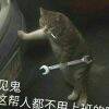 用戶(hù)頭像