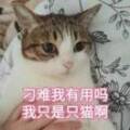 用戶頭像