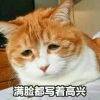 用戶頭像