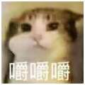 用戶頭像