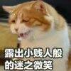 用戶頭像
