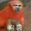 用戶頭像