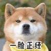 用戶頭像