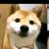 用戶頭像