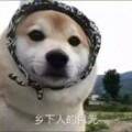 用戶頭像