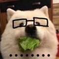 用戶頭像
