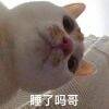 用戶頭像