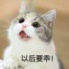 用戶頭像