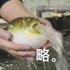 用戶頭像