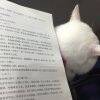 用戶頭像