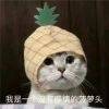 用戶頭像