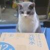 用戶頭像