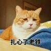 用戶頭像
