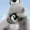 用戶頭像
